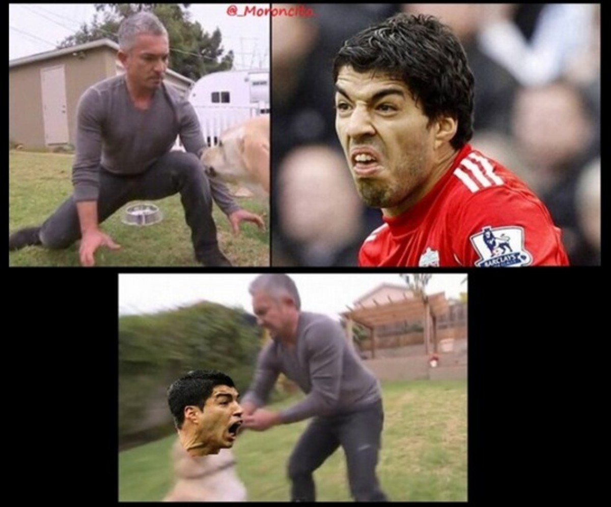 suarez-17.jpg